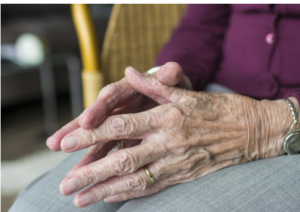 Clasped, wrinkled hands of a mature woman wearing a watch.